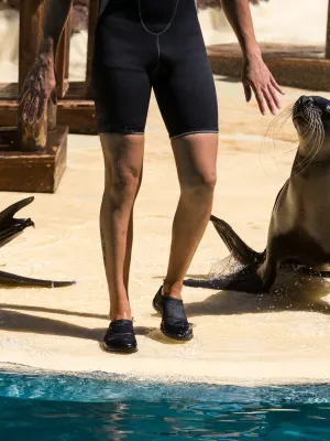 Pourquoi Pairi Daiza a dû fermer en urgence une partie de son parc au public ? Le mâle voulait, mais la femelle non