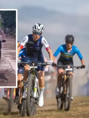 Philippines : un cycliste évite un chat en pleine course - la vidéo devient virale