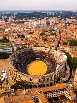 Invasion mystérieuse de millions d’insectes noirs dans un quartier de Nîmes : inquiétude et curiosité chez les habitants